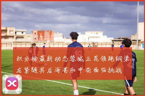 积分榜最新动态蓉城玉昆领跑铜梁龙紧随其后海港和申花面临挑战
