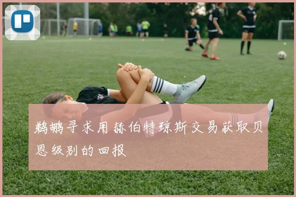 鹈鹕寻求用赫伯特琼斯交易获取贝恩级别的回报