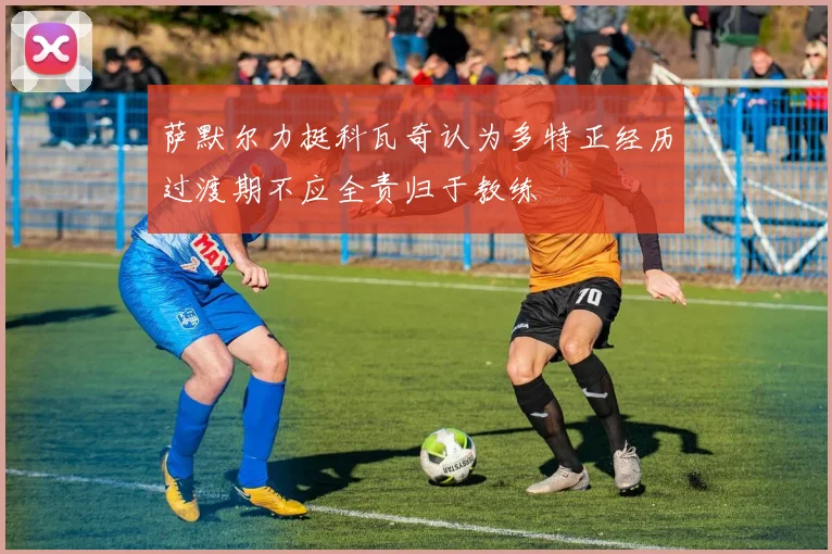 萨默尔力挺科瓦奇认为多特正经历过渡期不应全责归于教练