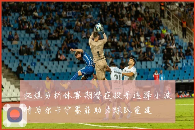 拓媒分析休赛期潜在投手选择小波特马尔卡宁墨菲助力球队重建